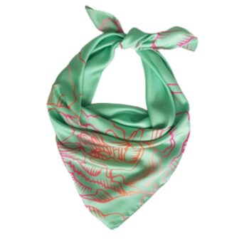 Suur valik kinkekarbis siidsalle