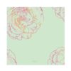 minty sall