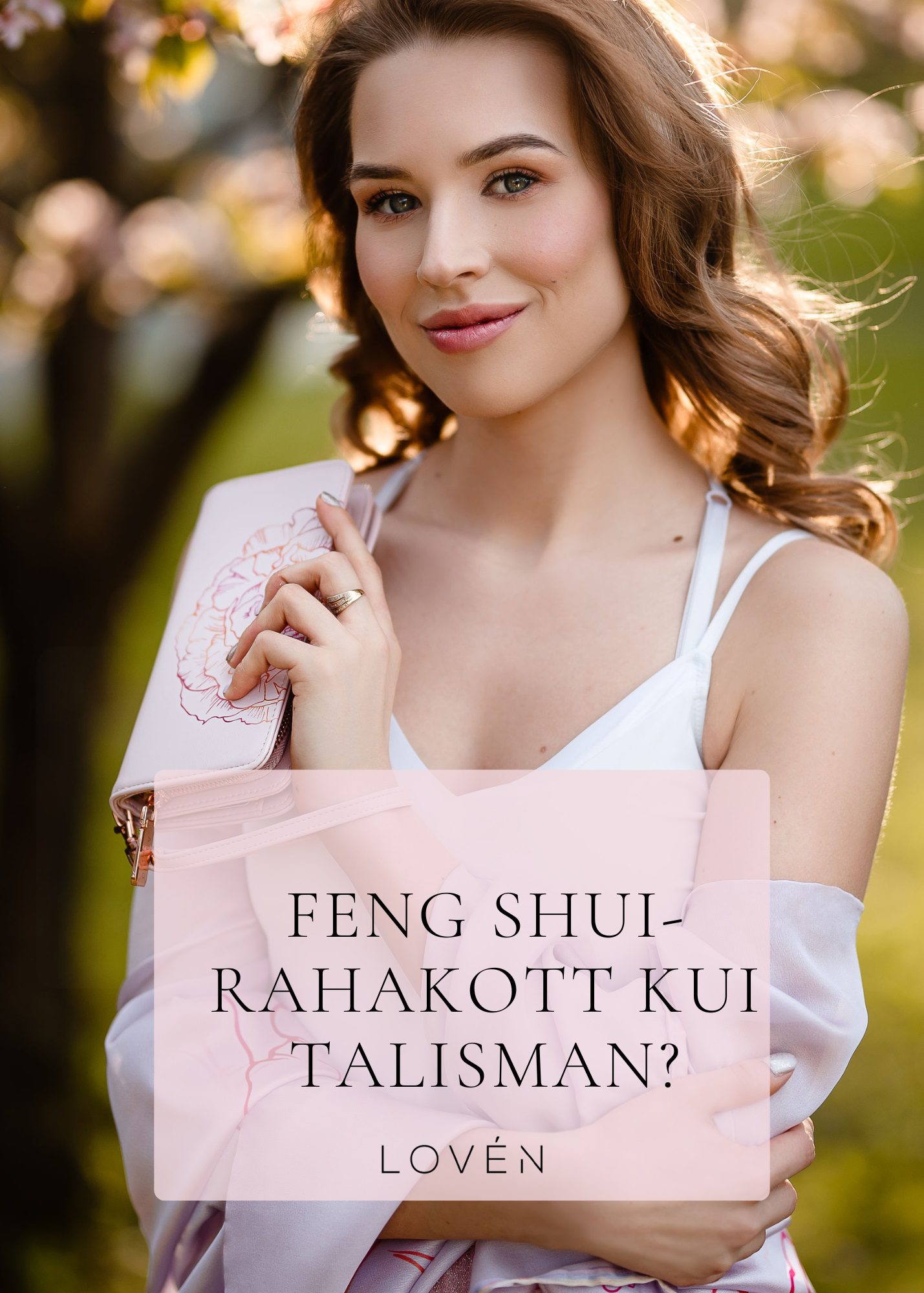 feng shui rahakott