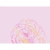 Roosa sall 180x70 Loven design