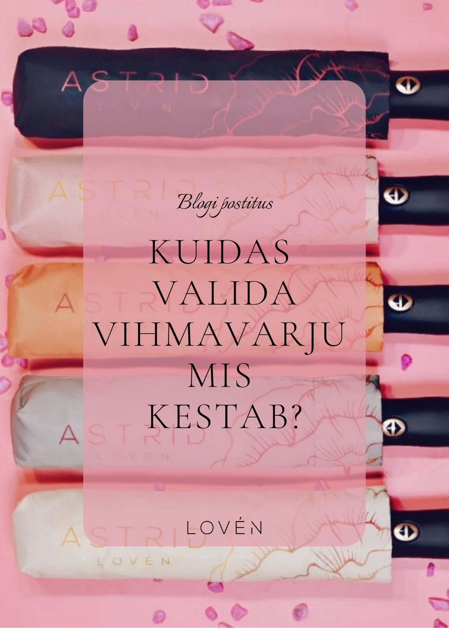 Kuidas valida vihmavarju mis kestab